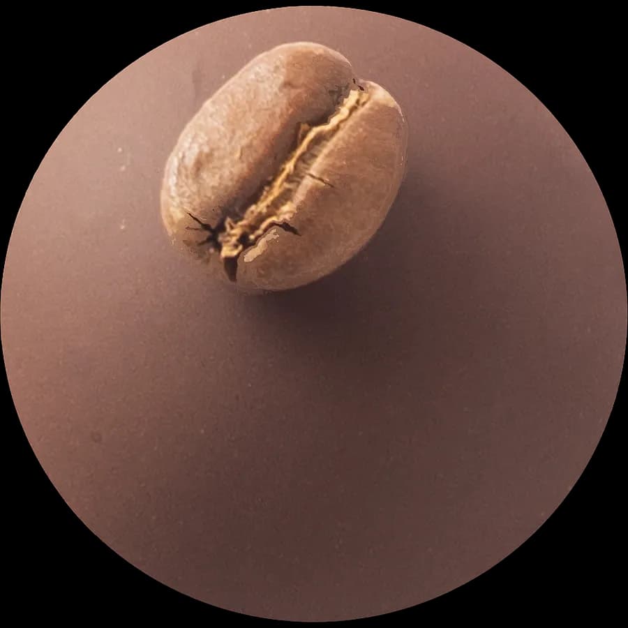 Espresso — Roasted bean, milk chocolate